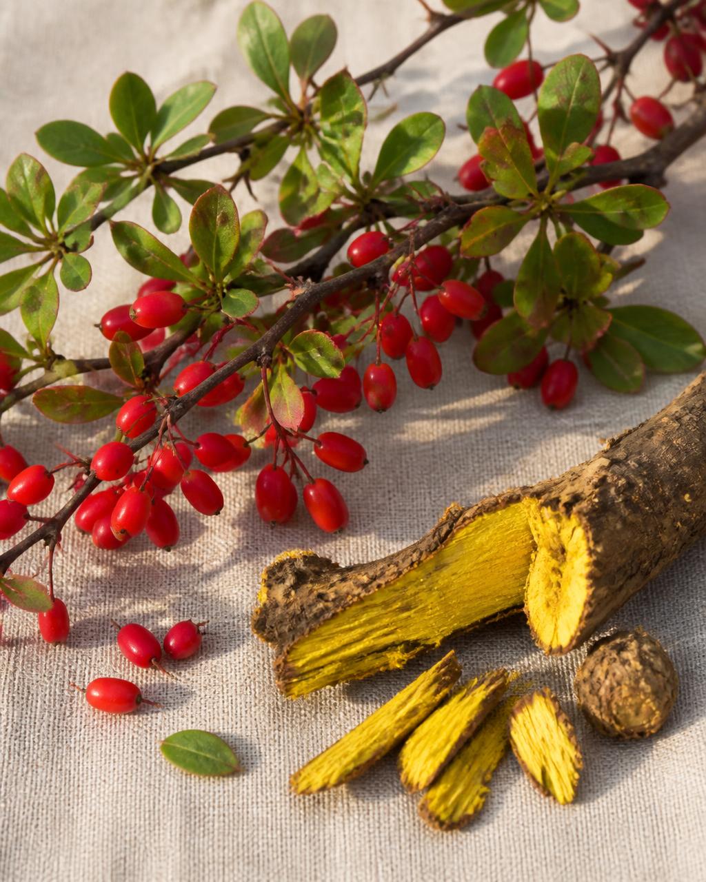 Berberine